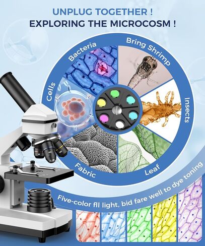 PalliPartners Compound Microscope for Adults & Students - 100X-2000X High-Power Biological Microscope for Students, School Lab & Home Education, with Slides Set & Phone Adapter (White) | 100X-2000X High-Power, Biological Microscope, School Lab & Home Educ in Kuwait