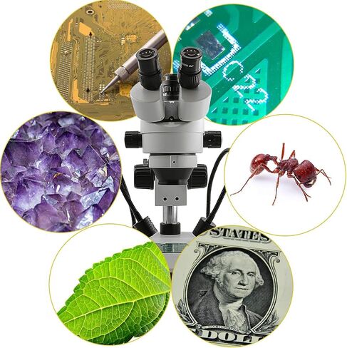 Swift S7-TGL-CA05 Trinocular Stereo Microscope, 7X-45X Zoom, WF10X Eyepieces, Gooseneck & Transmitted LED Lights, Pillar Stand, 110V in Kuwait
