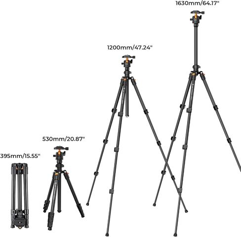 K&F Concept 64 inch/163cm Lightweight Outdoor Travel Camera Tripod | 360 Degree Ball Head, Load Capacity 17.6lbs, Cellphone Clip for Smartphone Live Streaming Vlog O234A1+BH-36 in Kuwait