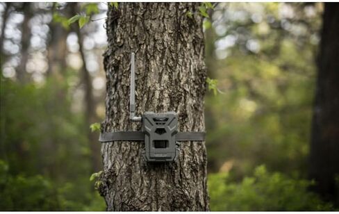 SPYPOINT Flex-M Solar Bundle - Cellular Trail Camera with Solar Panel, Best in Hunting Accessories, No WiFi Needed, GPS, Night Vision, Motion Activated, Dual-Sim LTE, IP65 Water-Resistant Game Camera | - Includes Flex-M Camera Plus Splb-10 Compact Lithium in Kuwait
