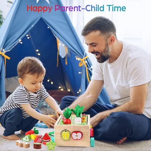 Toddlers Montessori Wooden Educational Toys for Baby Boys Girls Age 1 2 3 Year Old, Shape Sorting Toys 1st One First Birthday Girl Gifts for Kids 1-3, Wood Preschool Learning Fine Motor Skills Game in Kuwait