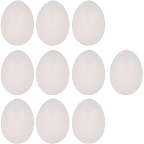 BQLZR Premium White Solid Plastic Eggs Dummy Eggs for Racing Pigeons Bag Trick White Pack of 10