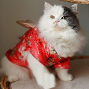 Creation Core Adorable Brocade Pet Kimono Dress Japanese Style Pet Dress Floral Bowknot Pet Costume for Dogs Cats, Red M