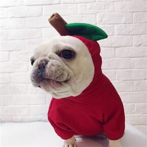 Dog Cats Pet Hoodies Puppy Cosplay Winter Clothes Apple Pineapple Costumes for Daily Wearing Holiday (Small,Apple)