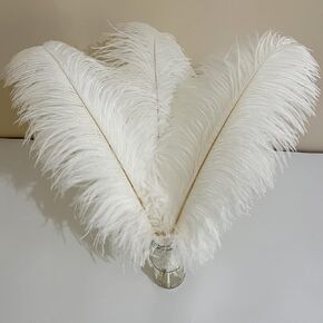 10pcs White Ostrich Feathers 20-24 inch Fluffy Feather for Crafts Vase Wedding Centerpieces Home Party Decoration Christmas Decor