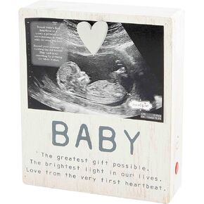 Mud Pie Ultrasound Recorder Frame