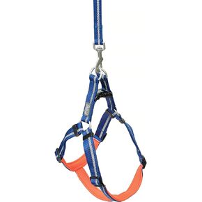Terrain D.O.G. Reflective Neoprene Lined Dog Harness