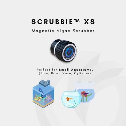 Oceanbox Designs Scrubbie XS Pico Glass/Acrylic Aquarium Magnetic Algae Scrubber for Micro Pico Bowl Small Tanks (Piano White) in Saudi Arabia