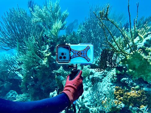 Pro Shot Touch Case 2.0 – Waterproof iPhone Housing, Rated to 50 ft, Compatible with All iPhones, Ideal for Snorkeling, Shallow Diving, and Water Sports. (Fits All iPhones Including 17 Pro & Pro Max) in Kuwait