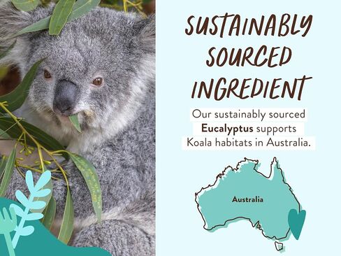 BABO Botanicals Eucalyptus Remedy 2-in-1 Bubble Bath & Wash - Invigorating Eucalyptus, Rosemary & Peppermint - for All Ages - EWG Verified - Vegan in Kuwait