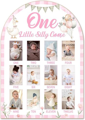 Silly Goose My First Year Photo Board, Goose Baby 12 Months Milestone Board (2 x 3 Photo), My First Year Picture Frame, Nursery Decor for Wall Desk, Baby Keepsake Gift for Girl -10 in Kuwait