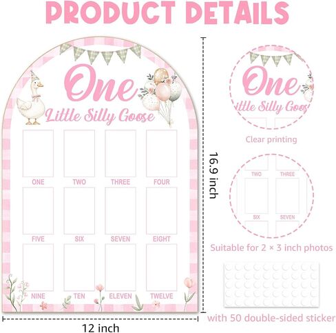Silly Goose My First Year Photo Board, Goose Baby 12 Months Milestone Board (2 x 3 Photo), My First Year Picture Frame, Nursery Decor for Wall Desk, Baby Keepsake Gift for Girl -10 in Kuwait
