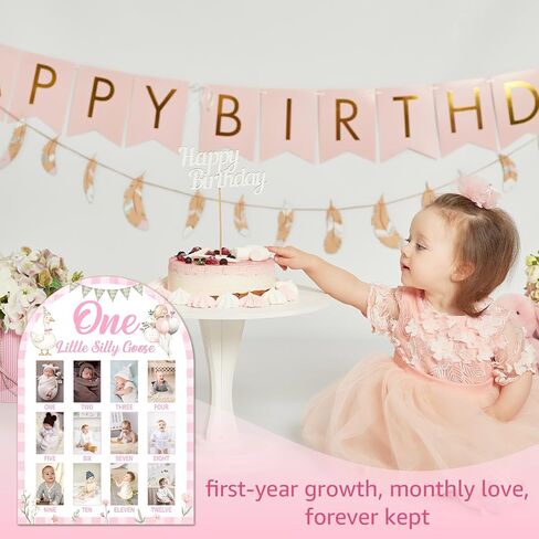 Silly Goose My First Year Photo Board, Goose Baby 12 Months Milestone Board (2 x 3 Photo), My First Year Picture Frame, Nursery Decor for Wall Desk, Baby Keepsake Gift for Girl -10 in Kuwait