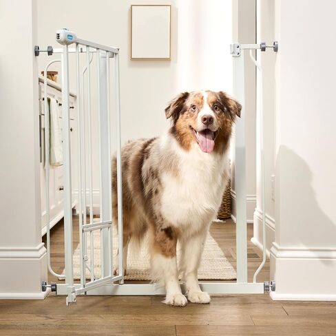 Carlson 36" Extra Tall Walk Through Dog Gate for Doorways & Bottom of Stairs, Metal Pet Gate with Small Pet Door, Expands 29.5"–36.5", White in Kuwait