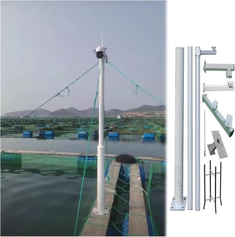 This Industrial Surveillance Camera Pole with Twin Camera Support Arm, Heavy-Duty Stand for Roadside Monitoring in Kuwait