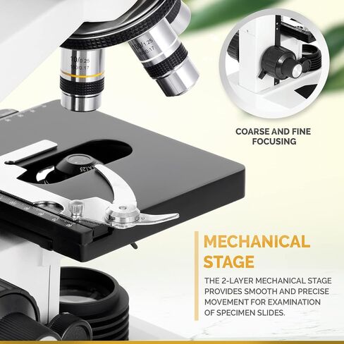 AmScope B490B Compound Binocular Microscope, WF10x and WF20x Eyepieces, 40X-2000X Magnification, Brightfield, Halogen Illumination, Abbe Condenser, Double-Layer Mechanical Stage, Sliding Head, High-Resolution Optics, Anti-Mold , White in Kuwait