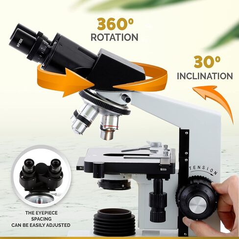 AmScope B490B Compound Binocular Microscope, WF10x and WF20x Eyepieces, 40X-2000X Magnification, Brightfield, Halogen Illumination, Abbe Condenser, Double-Layer Mechanical Stage, Sliding Head, High-Resolution Optics, Anti-Mold , White in Kuwait