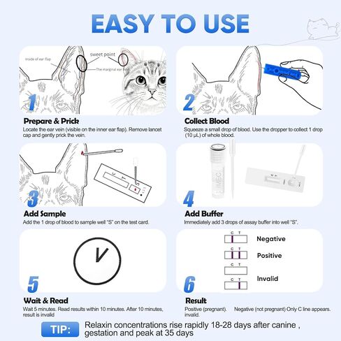 Dogs & Cats Blood Pregnancy Test – Pet Accurate Relaxin Detection | Professional-grade Fast test · Painless sampling for Pet · Easy-to-read results ·Early testing for breeders & owners in Kuwait