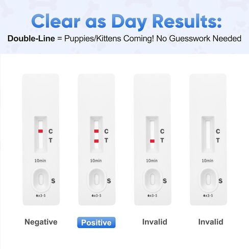 Dogs & Cats Blood Pregnancy Test – Pet Accurate Relaxin Detection | Professional-grade Fast test · Painless sampling for Pet · Easy-to-read results ·Early testing for breeders & owners in Kuwait