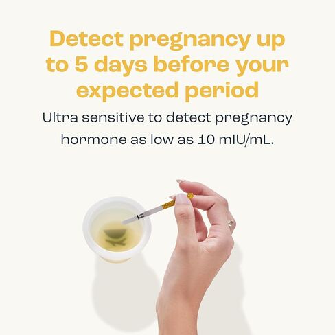 Bird&Be Pregnancy Test Strips for Early Detection (20-Strips Kit, FSA-Eligible) in Kuwait