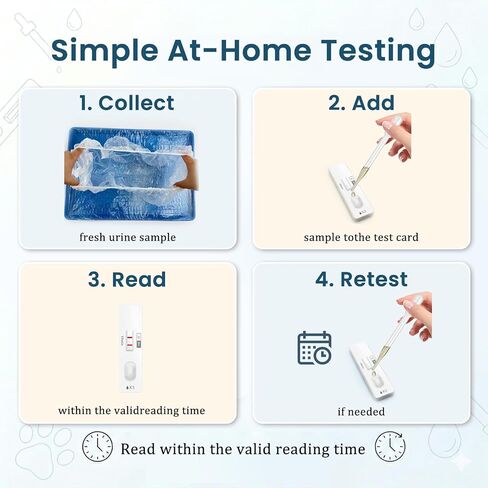 Dog & Cat Pregnancy Test Kit, 2-Test Urine-Based Screening | Up to 98% accuracy. No blood sample needed; urine-based dog & cat kit with liners, cups and result card. in Kuwait