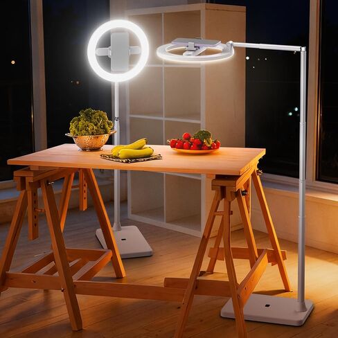 NEEWER Entry Level Version 10" 7W LED Selfie Ring Light with Desk Stand/Phone Holder/3 Modes, CRI85+ 3000mAh Rechargeable Video Conference Lighting for iPhone Streaming Video Recording Makeup, N17 in Kuwait