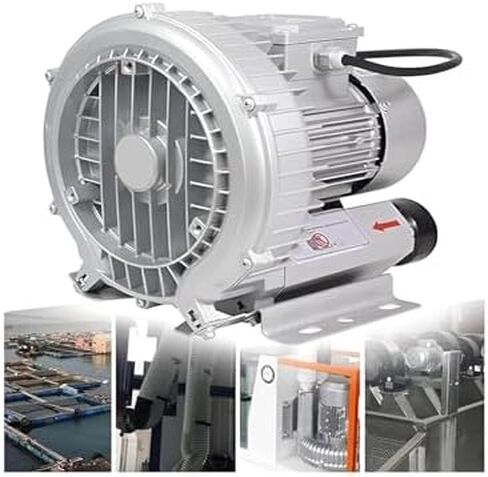 Multi-Use Regenerative Ring Pump High Pressure Vortex Blower Industrial High-Pressure Equipment，Regenerative Blower High Pressure Vortex Ring Blower Sewage Aeration Single Phase Turbine Aqua in Kuwait