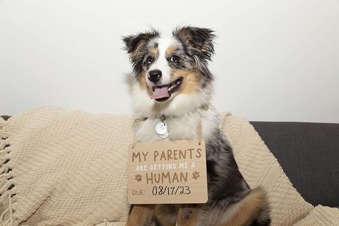Pearhead Wooden Pet Pregnancy Announcement Sign, Dog Photo Prop Board, Customizable Baby Arrival Reveal Keepsake Sign, Gift for Expecting Parents in Kuwait