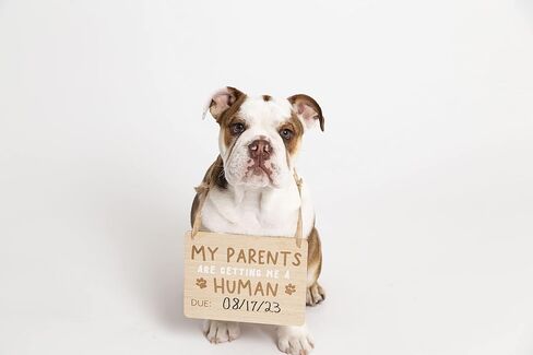 Pearhead Wooden Pet Pregnancy Announcement Sign, Dog Photo Prop Board, Customizable Baby Arrival Reveal Keepsake Sign, Gift for Expecting Parents in Kuwait