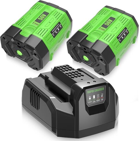 2 Pack Upgrade 5000mAh BA2800 Replacement for EGO Batterty Lithium ion | Compatible with EGO 56 Volt Battery BA4200 CS1604 CS1804 CS1403 HT2400 LB6504 LB5804 LB6500 LB4800 Cordless Tool (Green) in Saudi Arabia