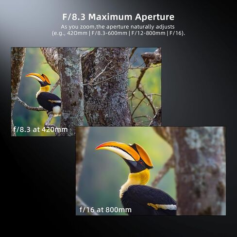 420-800mm f/8.3 Super Telephoto Lens with 3 T-Adapters for Sony E Mount, Canon EF, Nikon F | Manual Focus (No Auto-Focus) Mirrorless DSLR Camera Lens for Moon & Wildlife Photography in Kuwait