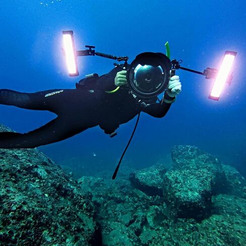 Godox WT25D Daylight Waterproof LED Tube Light, 24W 9.8'' 5600K Underwater LED Light CRI/TLCI 96+ Dimming 0-100%, Supports 40m Dive Depth Bluetooth APP Control in Kuwait