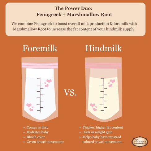 Birth Song Botanicals Let There Be Milk! Herbal Breastfeeding Tincture – Goat’s Rue, Fenugreek, Blessed Thistle to Increase Milk Supply* – Breastfeeding Supplement for Nursing Moms – 1 oz in Kuwait
