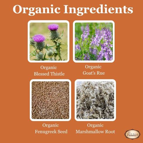 Birth Song Botanicals Let There Be Milk! Herbal Breastfeeding Tincture – Goat’s Rue, Fenugreek, Blessed Thistle to Increase Milk Supply* – Breastfeeding Supplement for Nursing Moms – 1 oz in Kuwait