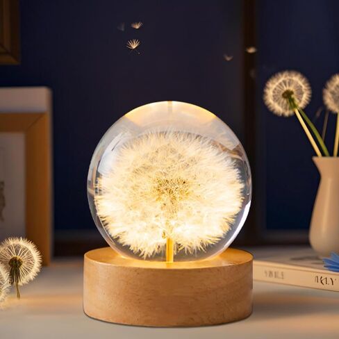Daisy Decor Gifts,Daisy Flower Lamp Crystal Ball Night Light,2.4 Inch Glass Ball Lamp with LED Wooden Base,Soft Warm White Lighting for Women Best Friends Sister Birthday Xmas Aesthetic Gift(Red) in Kuwait