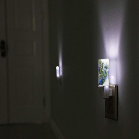 Led Night Light, Floral Hydrangea Hummingbird Decorative Plug in Nightlights,with Smart Auto Dusk to Dawn Night Light for Bedroom, Kitchen, Nursery, Bathroom in Kuwait