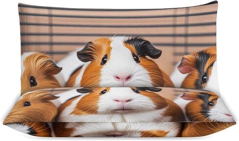 3 Pieces Guinea Pigs Bedding Set with Zipper | Includes 1 Duvet Cover 102"x90" and 2 Pillow Shams 30"x20", Thickened Ultra Soft Comfy Breathable Fade & Wrinkle Resistant in Kuwait