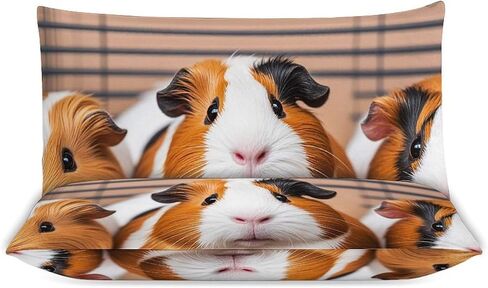 3 Pieces Guinea Pigs Bedding Set with Zipper | Includes 1 Duvet Cover 79"x90" and 2 Pillow Shams 30"x20", Thickened Ultra Soft Comfy Breathable Fade & Wrinkle Resistant in Kuwait