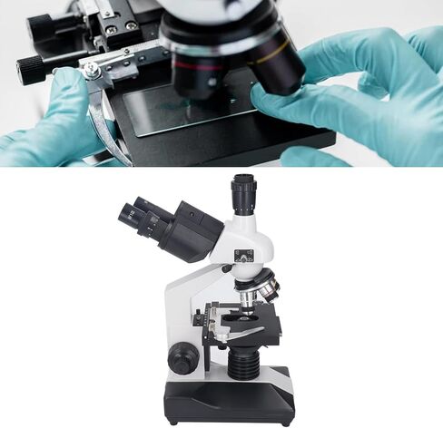 Electronic Microscope Biological Microscope Research Rate 40x To 5000X Laboratory of Culture Clinical Bacteriology Histology in Kuwait