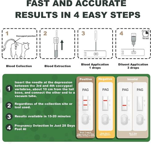 [10 Pack] Bovine Blood Pregnancy Test Kit, Cow Pregnancy Test Kit for Dairy Cow & Beef Cattle, 28 Days Post-Breeding, Herd Reproductive Management Supplies in Kuwait