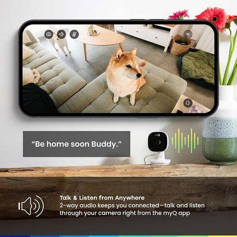 myQ Indoor Plug-in Security Camera Gen 2 – 2K Smart Wi-Fi Camera with Night Vision, Baby and Pet Monitor, Motion Detection and Alerts, 2-Way Audio & App Control in Kuwait