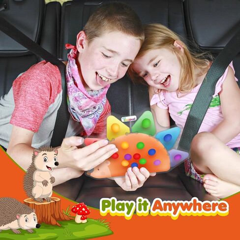 Color Sorting Sensory Toys for Kids Roadtrip Travel Essenstial for Toddler | Squeeze Toys Color Matching Game Preschool Activities Calm Down Montessori Toy for Classroom Prize Boy Girl Gifts Ages 3+ in Kuwait
