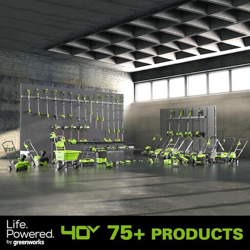Greenworks 40V 2.0Ah Lithium-Ion Battery (Genuine Greenworks Battery / 75+ Compatible Tools) in Saudi Arabia