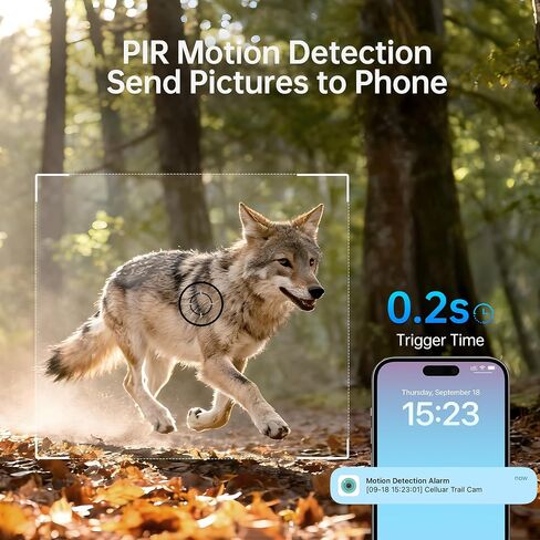2 Pack 2K Cellular Trail Cameras, 4G LTE Solar Wildlife Cameras No WiFi Needed, 0.2s Trigger, No-Glow Night Vision, Pre-Installed IoT SIM & 32GB SD Cards for Farm and Remote Property in Kuwait