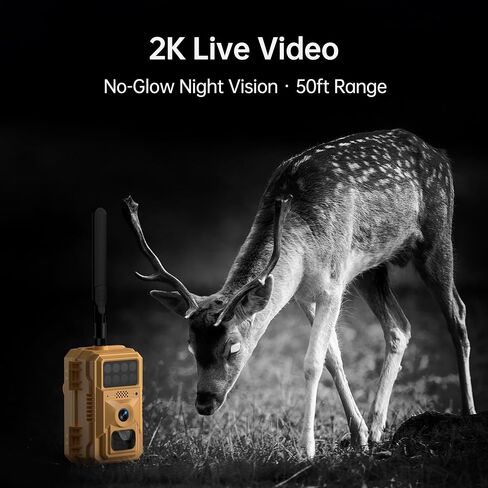 2 Pack 2K Cellular Trail Cameras, 4G LTE Solar Wildlife Cameras No WiFi Needed, 0.2s Trigger, No-Glow Night Vision, Pre-Installed IoT SIM & 32GB SD Cards for Farm and Remote Property in Kuwait