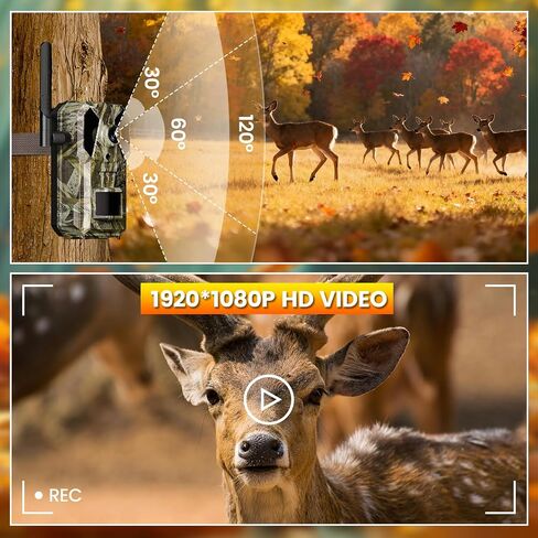 Trail Camera, 4G Cellular Dual Lens Trail Cameras 2.7K, 0.2s Fast Trigger Speed, Game Camera with Full Color Night Vision, No Glow IR, Motion Detection, No WiFi Needed, IP 65 Waterproof in Kuwait