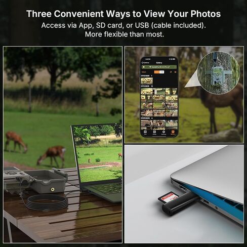 Meidase S950P Cellular Trail Camera(Non-WiFi), 8000mAh Battery, 4G LTE Remote Monitoring, Multi-Cam Data Plan, Camera Sharing, Motion Activated in Kuwait