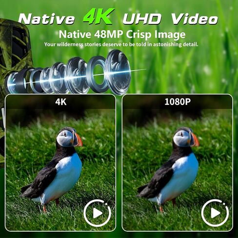 Trail Camera 4K 48MP WiFi Night Vision Trigger Waterproof Game Cam Outdoor | 0.1s Trigger, 120° Wide Angle, Low Glow IR, IP66 Waterproof, Wildlife & Hunting, 8*AA Batteries Included in Kuwait