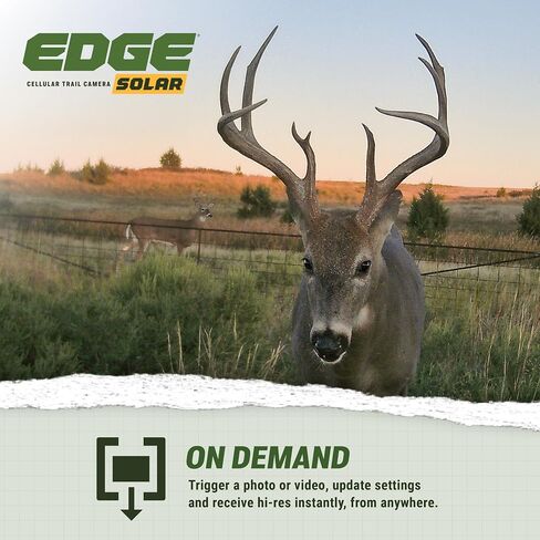 Moultrie Edge Solar Cellular Trail Camera - Integrated Solar, Mossy Oak | Mossy Oak camo, integrated solar, built-in battery, Scout from Anywhere, HD photos, 40MP, 1080p video, multi-carrier in Kuwait