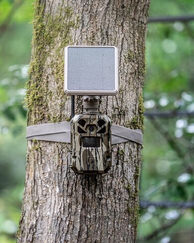 Moultrie Edge Solar Cellular Trail Camera - Integrated Solar, Mossy Oak | Mossy Oak camo, integrated solar, built-in battery, Scout from Anywhere, HD photos, 40MP, 1080p video, multi-carrier in Kuwait